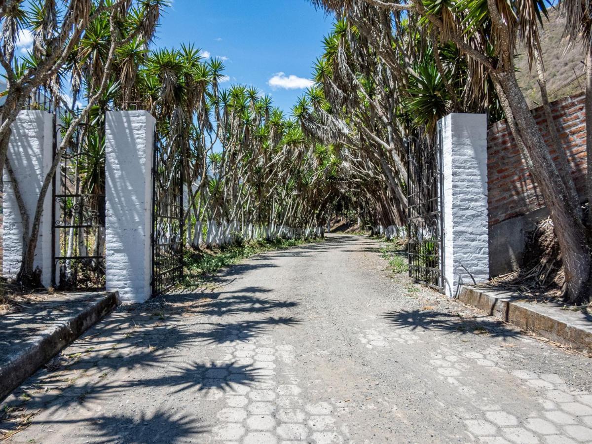Hosteria La Eterna Primavera Huigra Dış mekan fotoğraf
